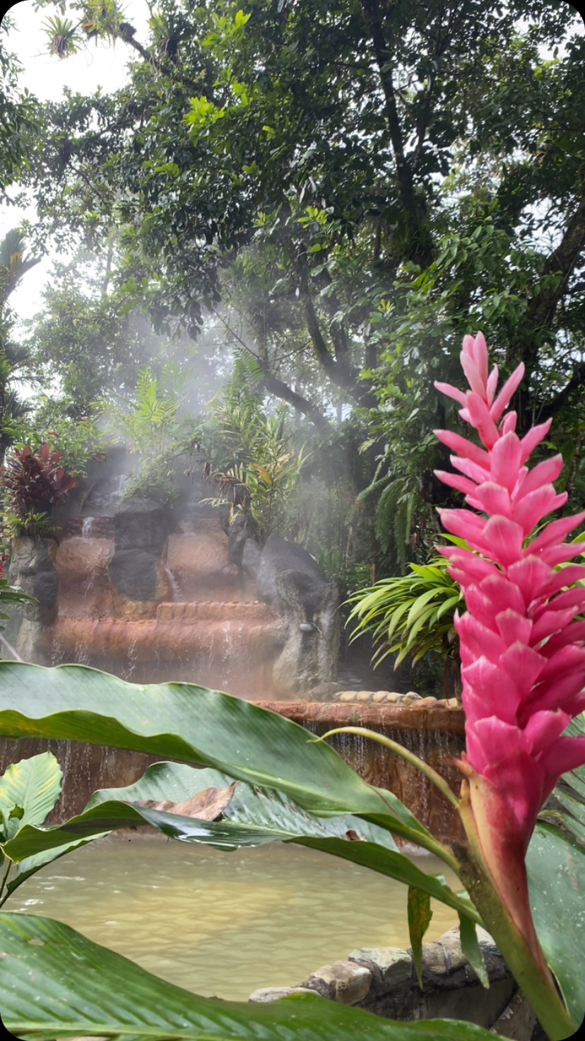 Aguas termales naturales rodeadas de vegetación tropical en La Fortuna