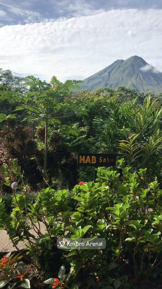 Jardines tropicales del Hotel Kokoro con el Volcán Arenal al fondo y señalización del hotel